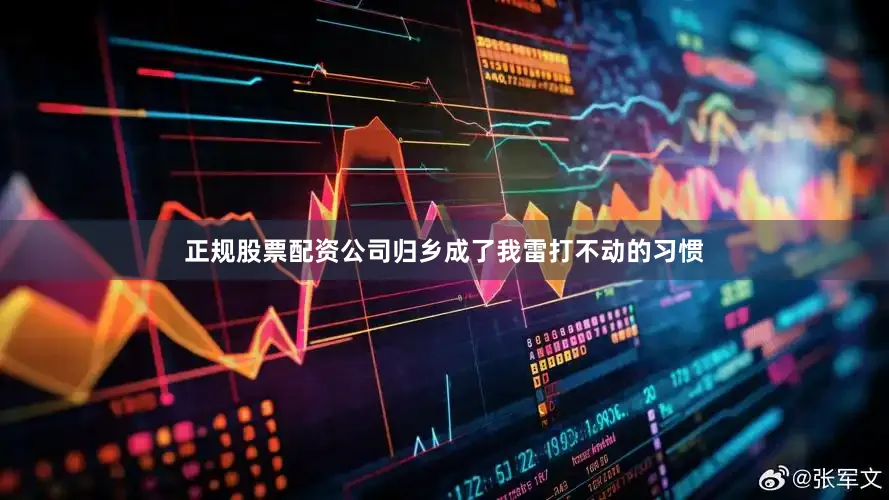 正规股票配资公司归乡成了我雷打不动的习惯